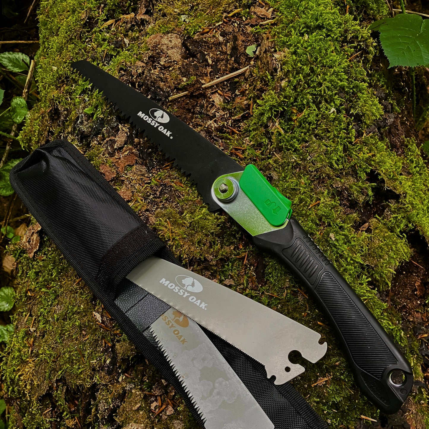 WildnisJahr | Wildnisschule Online