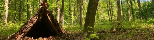 Sommerferienbetreuung Wildnisschule im Ruhrgebiet