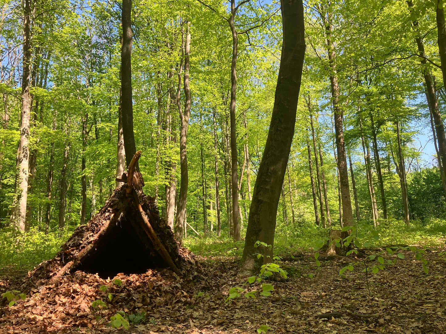 WildnisWelt Sommerferienfreizeit 2025