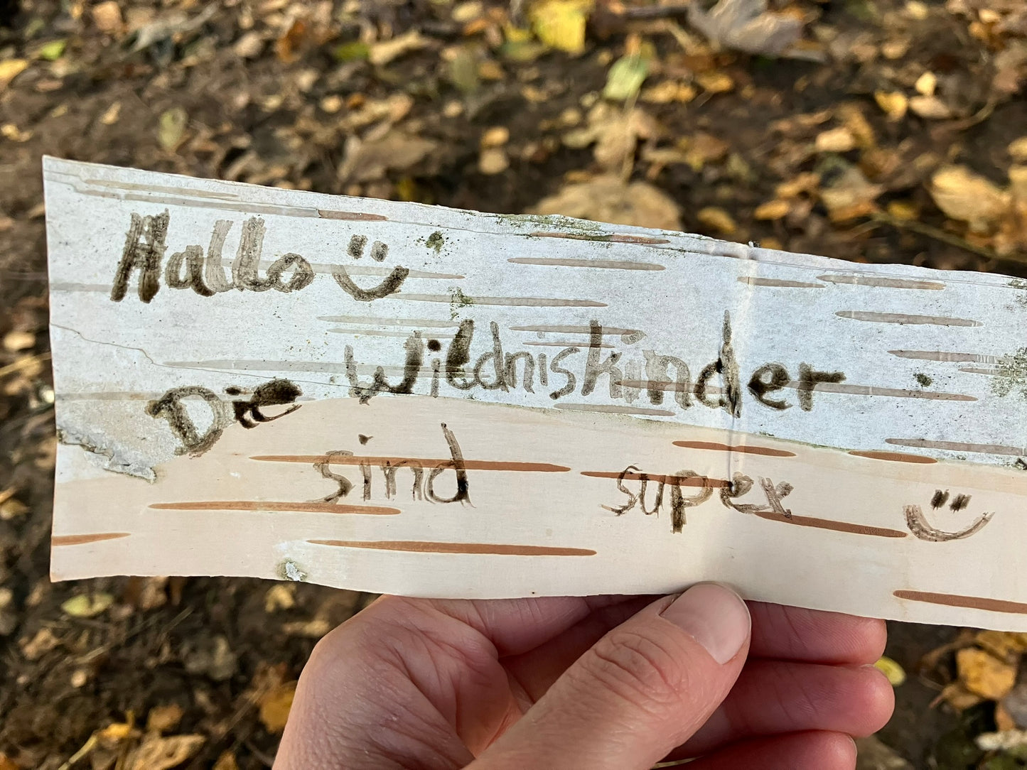 Wildniskindergruppe