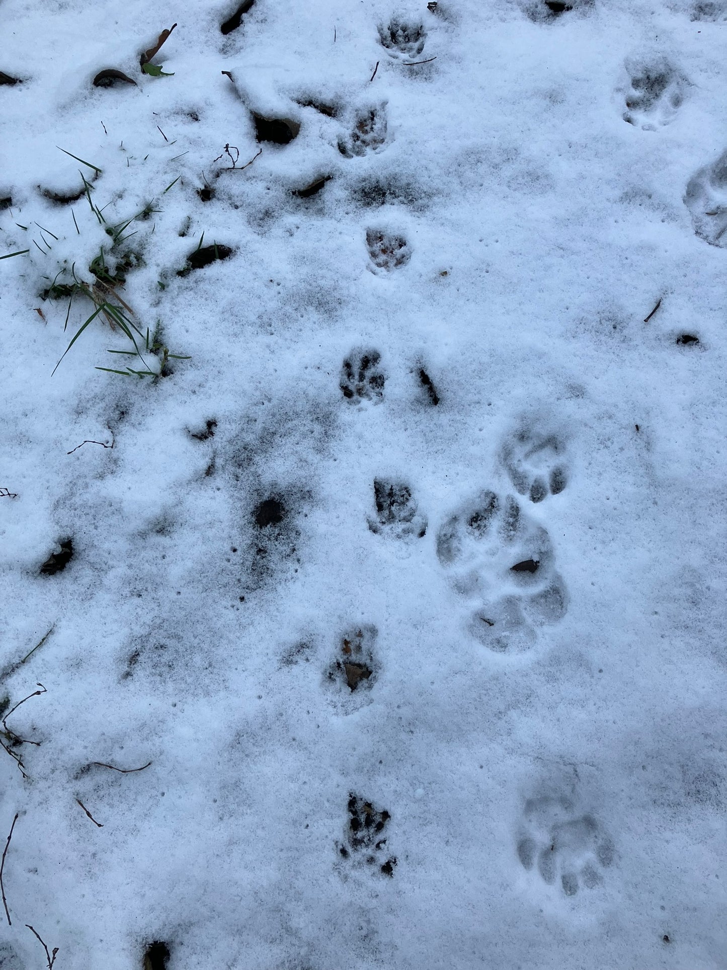 Naturerlebnisse im Jahreslauf (Monatspreis)