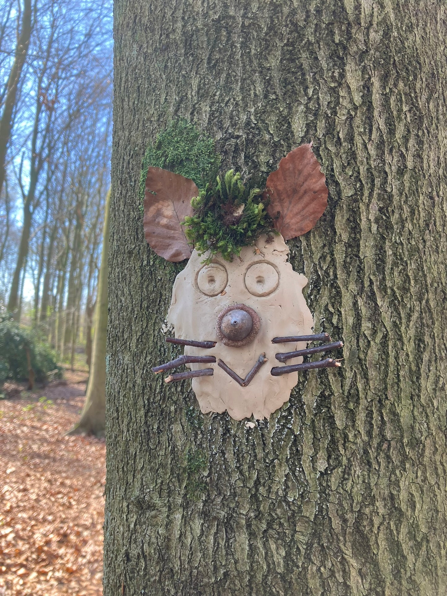 WildnisWelt Sommerferienfreizeit 2025