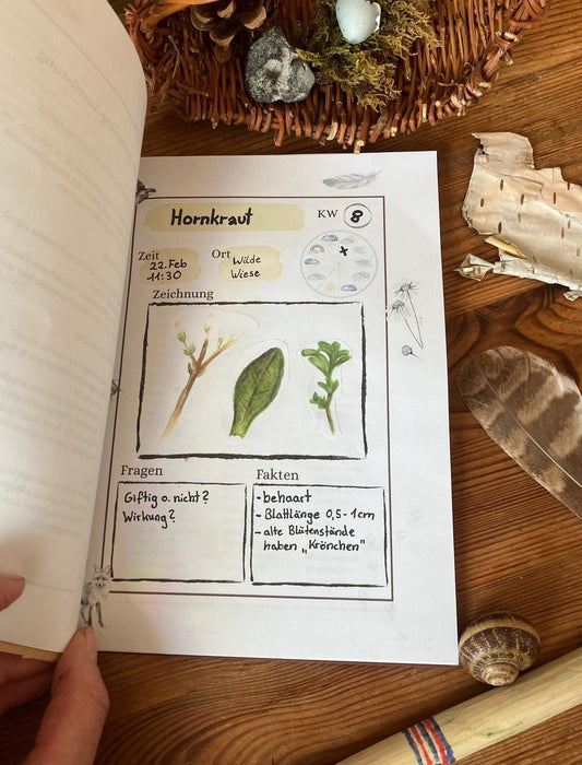 Nature Journal Printable Naturtagebuch druckbar
