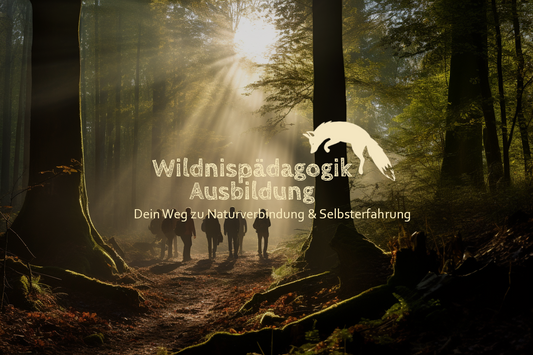 Wildnispädagogik I Ausbildung 2026
